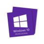 Microsoft Windows 10 Professional CD-KEY (2 keys)