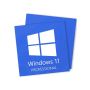 Windows 11 Professional - 2 Keys