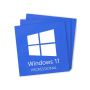 Windows 11 Professional - 3 Keys
