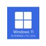 Windows 11 Enterprise LTSC 2024 - 1 PC