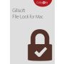 Gilisoft File Lock Pro - 1 Mac/ Lifetime