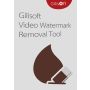 Gilisoft Video Watermark Master - PC