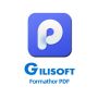 Gilisoft Formathor - 1 PC/Lifetime