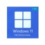 Windows 11 Professional - 1 PC