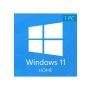 Windows 11 Home (1 PC)