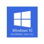 Windows 10 Enterprise 2019 LTSC - 1 PC