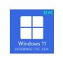Windows 11 Enterprise LTSC 2024 - 10 PCs