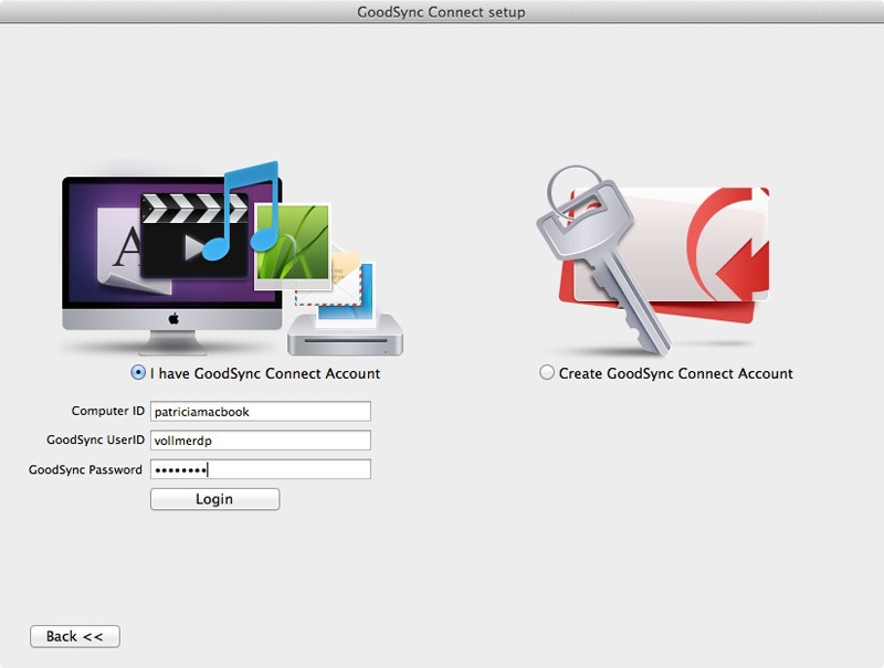 GoodSync GoodSync key